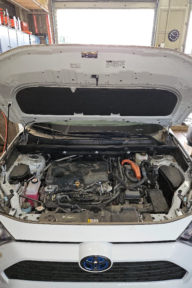 Service image